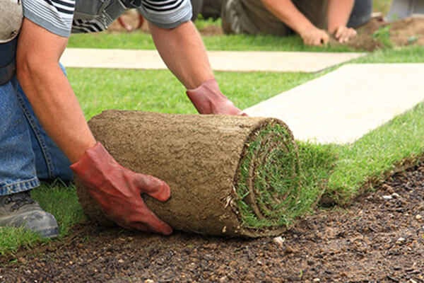 Laying Down Sod